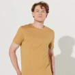 Mens T-shirt - Mustard - 001